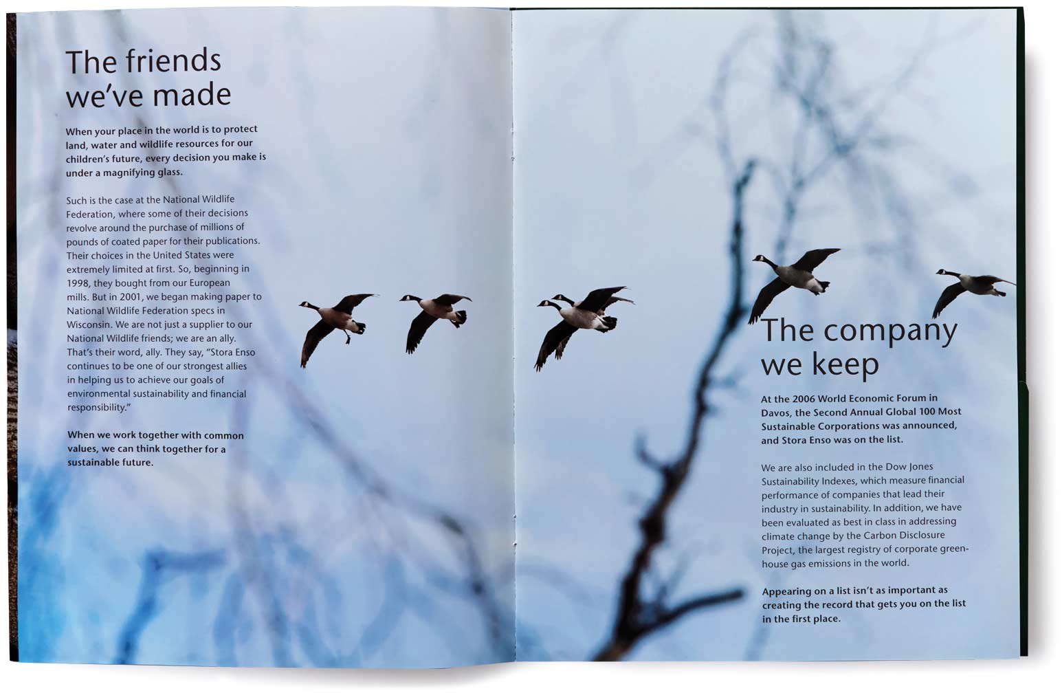 stora-enso-sustainability_brochure-inside_2.jpg Art Direction by: Bart Crosby, Crosby Associates